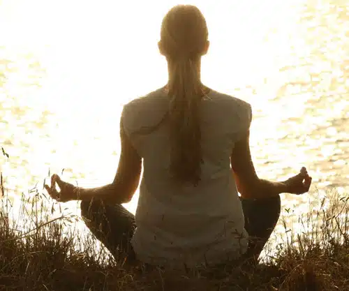 Lees ons blog op https://vonkwervingenselectie.nl/blog/